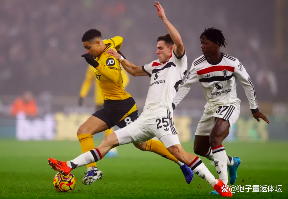 世界级球星领衔球队参赛：球迷瞩目的盛宴